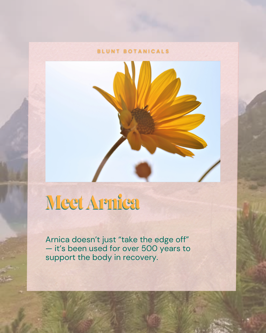 The Healing History, Science & Ritual of Arnica montana