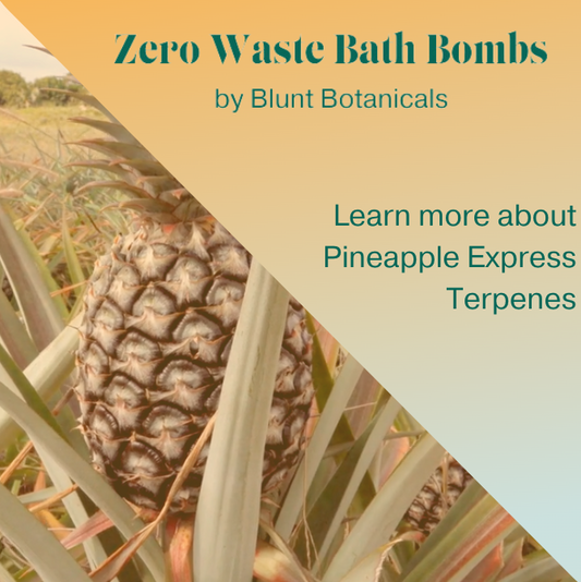 Get Energized with Pineapple Express Terpenes