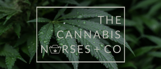 Safe, Sustainable Dosing: Best Practices for Topicals & Beyond