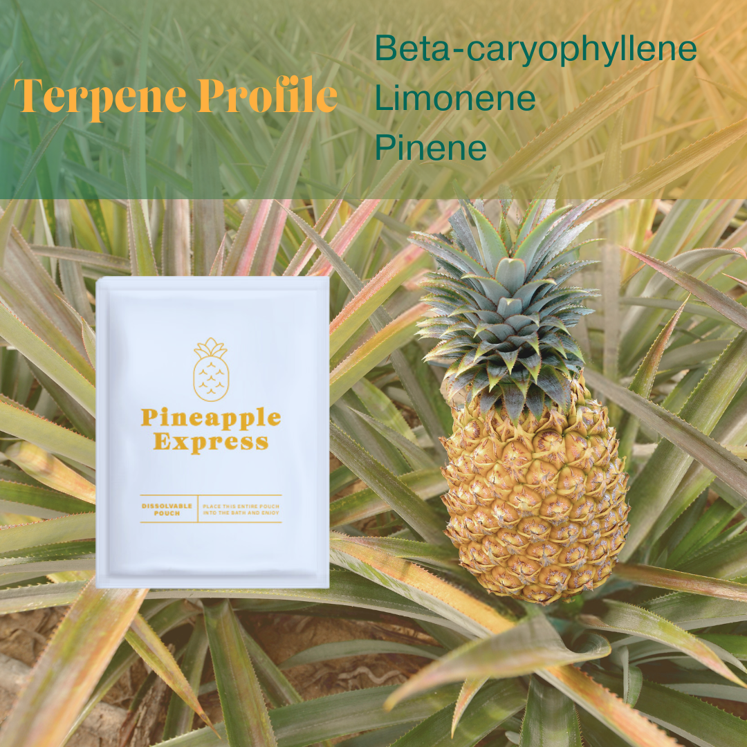 Pineapple Express Zero Waste Bath Bomb