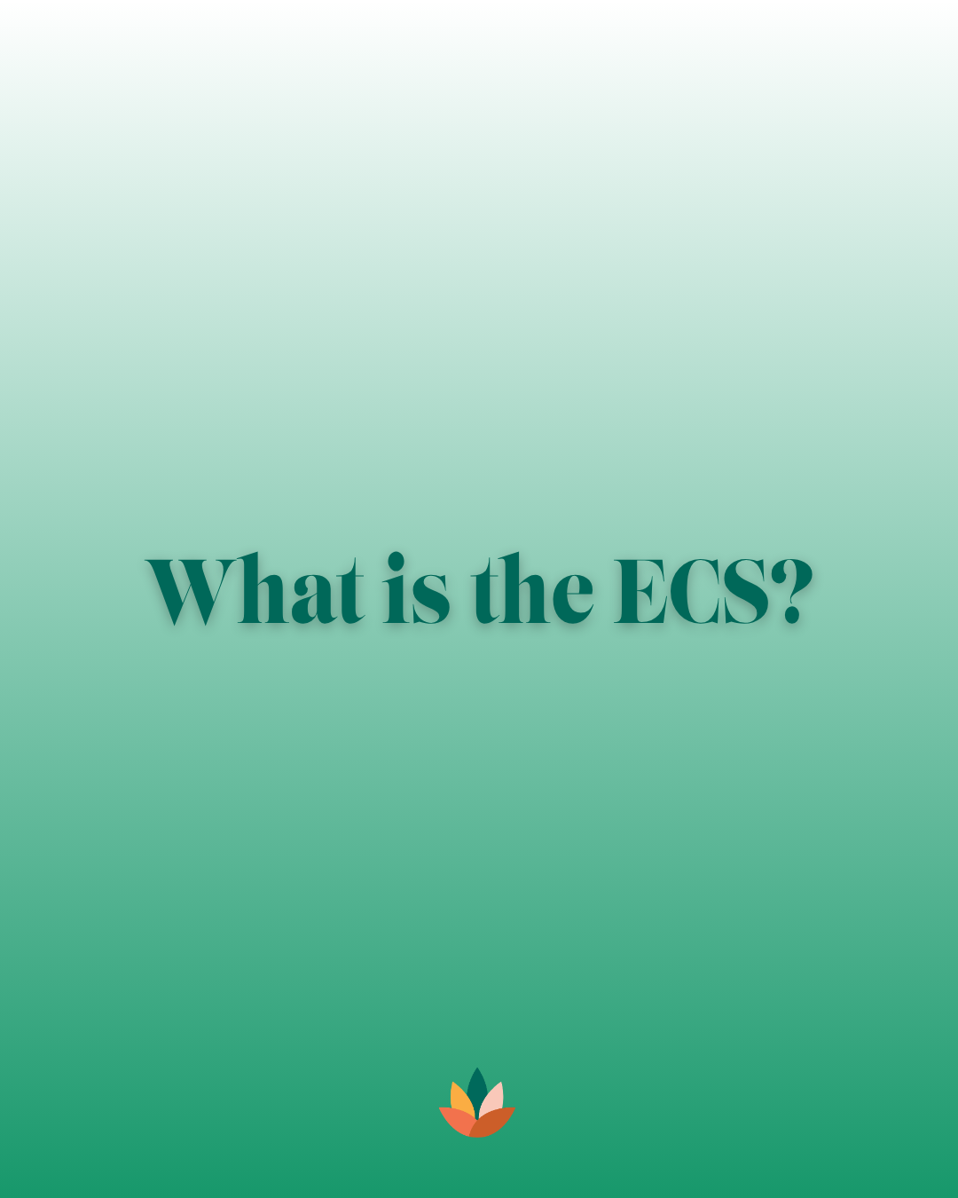 What Is the Endocannabinoid System? A Blunt Guide to the ECS