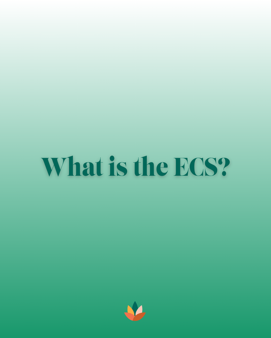 What Is the Endocannabinoid System? A Blunt Guide to the ECS