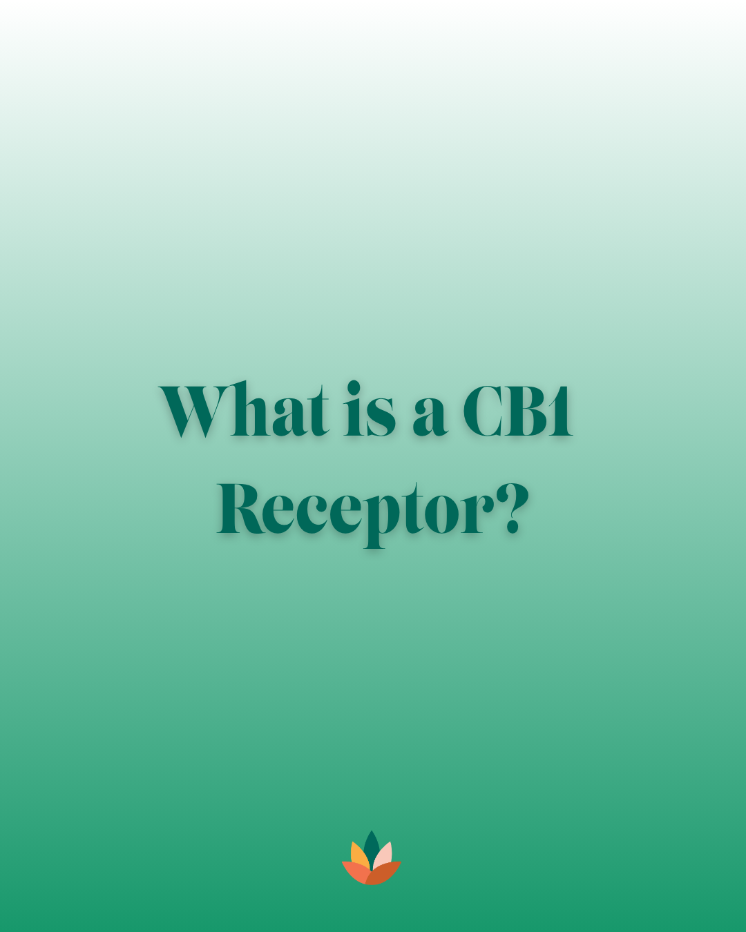 What Is a CB1 Receptor? A Blunt Guide to CB1 and the Endocannabinoid System
