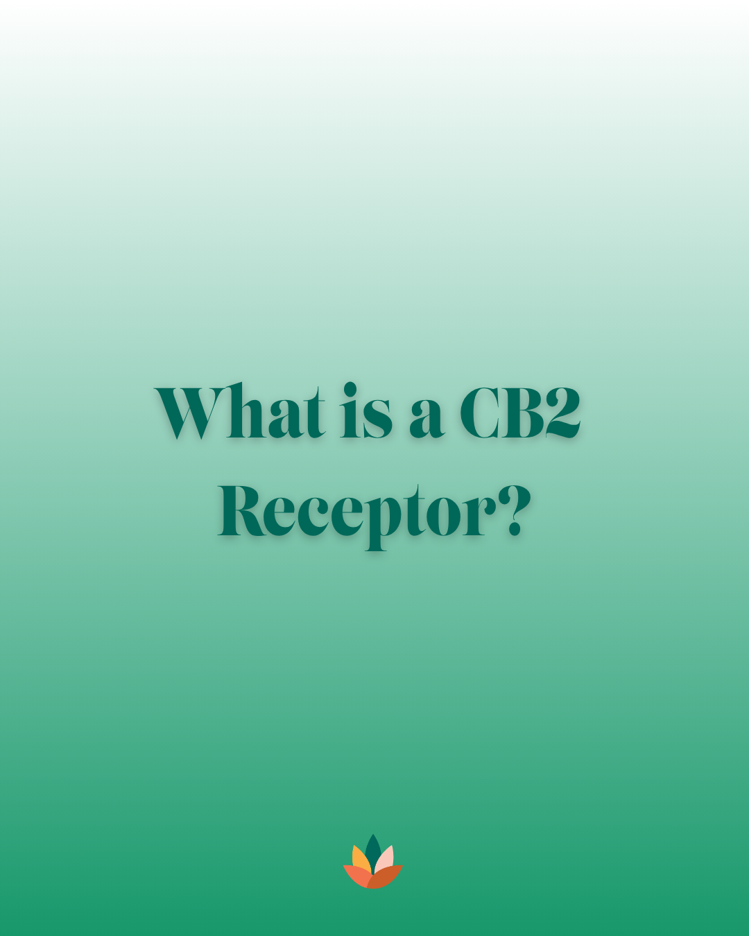 What Is a CB2 Receptor? A Blunt Guide to CB2 and the Endocannabinoid System