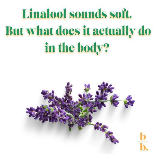 The Science of Linalool: How This Terpene Supports Calm & Balance