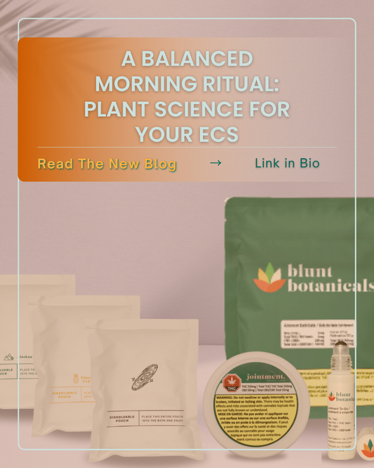 A Balanced Morning Ritual: Plant Science for Your ECS